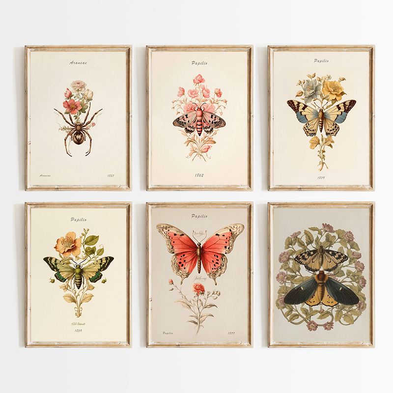 Resin Art And Deco - Винтажные постеры с иллюстрациями пауков, бабочек